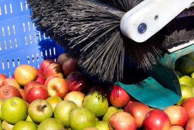 brosses pour éliminer les résidus dans l'industrie alimentaire