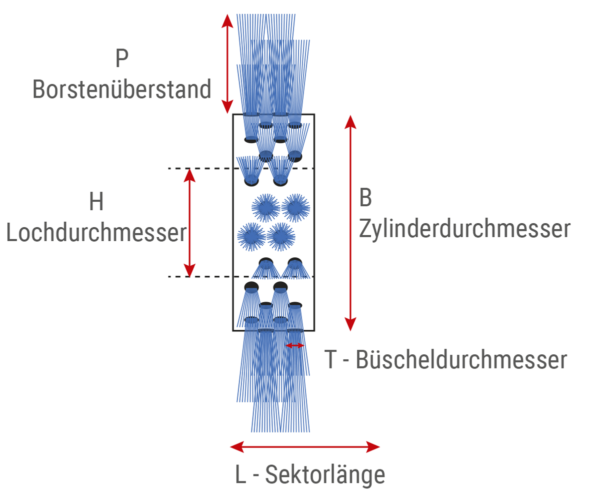 Standard zylindrische modulare Bürste