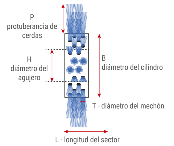 Cepillo modular cilíndrico estándar